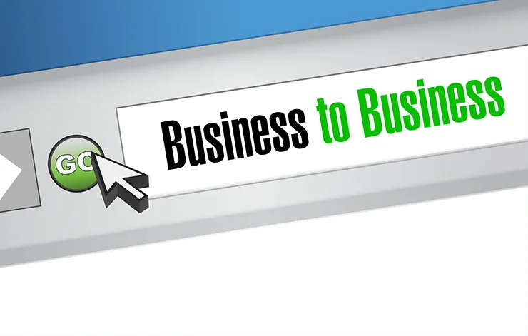 Building a B2B Website