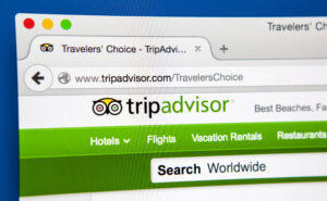 tripadisor