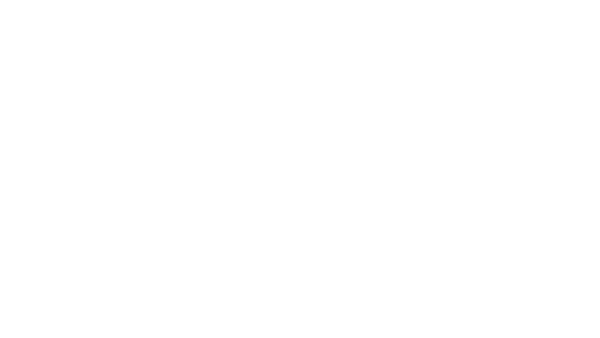 Global EMS
