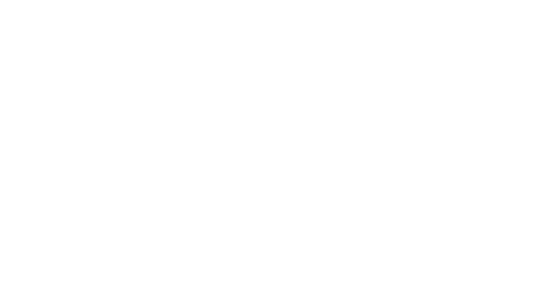TerraFlow Energy