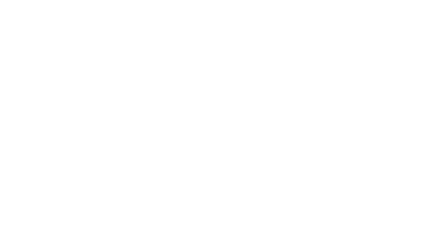 TerraFlow Energy