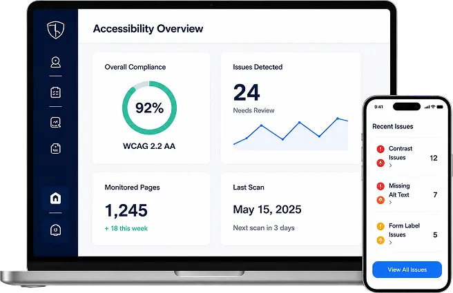 ongoing website accessibility programs