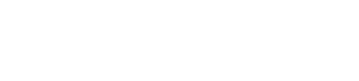 WordPress websites